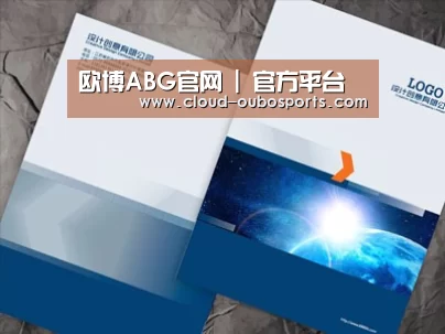 项目名称十