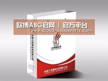 项目名称十三