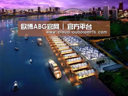 案例展示八