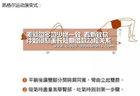 差额忽多忽少终一致 看新致软件如何刻画长短期借款勾稽关系“欧博”(图2) net欧博官网