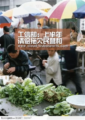 工信部:上半年清偿拖欠民营和中小企业款项956亿元“欧博游戏”(图2) 欧博游戏