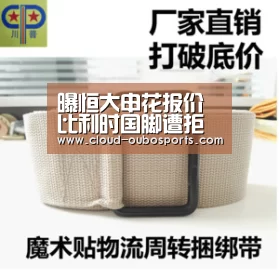 曝恒大申花报价比利时国脚遭拒 两季进56球神锋留守意甲-欧博游戏(图1) 欧博