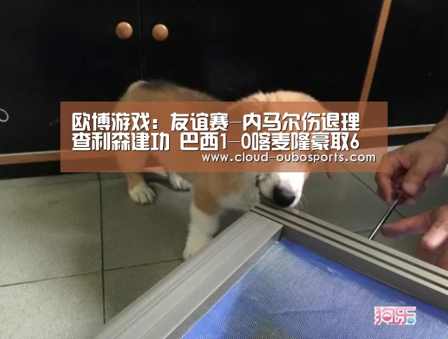 欧博游戏:友谊赛-内马尔伤退理查利森建功 巴西1-0喀麦隆豪取6连胜(图4) 欧博游戏