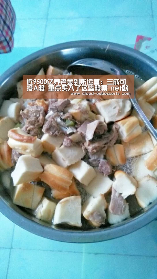 近9500亿养老金到账运营:三成可投A股 重点买入了这些股票_net欧博官网(图2) net欧博官网
