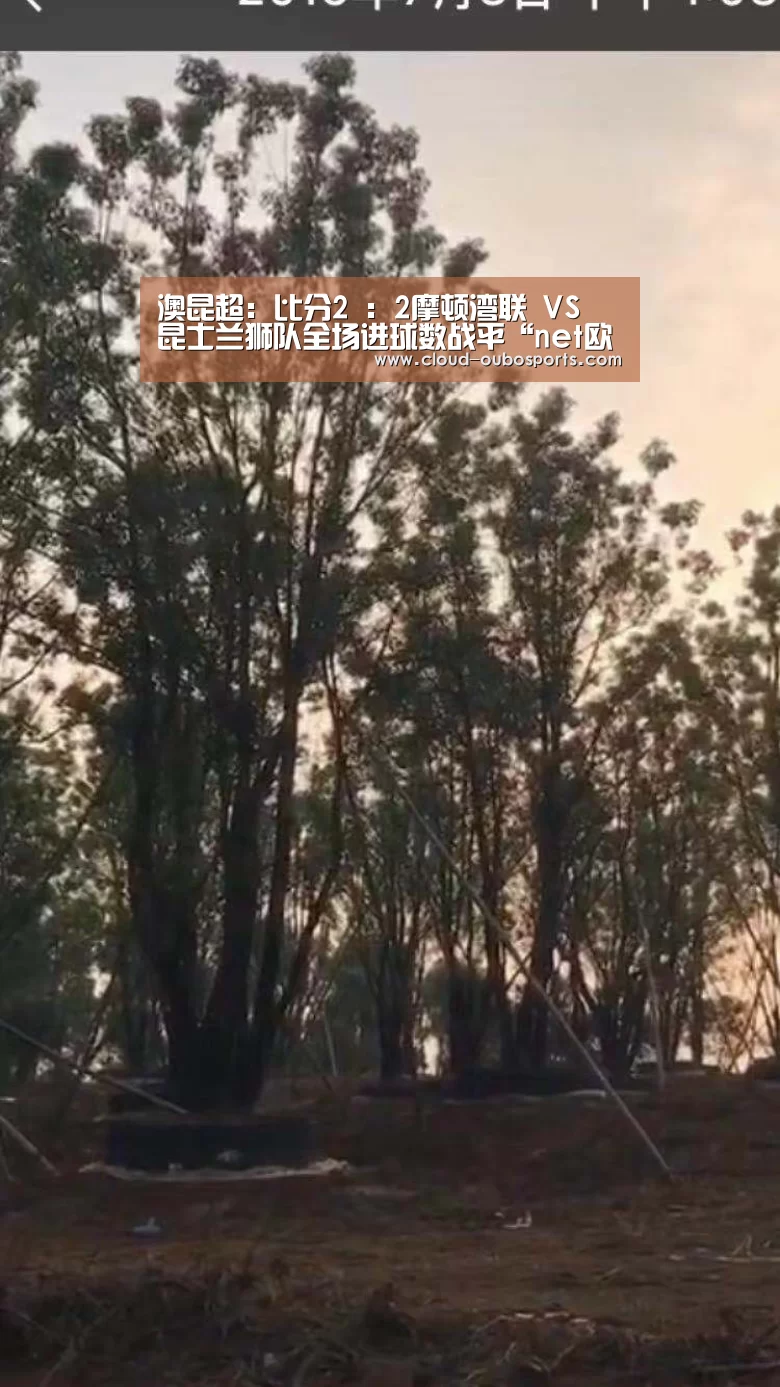 澳昆超: 比分2 : 2摩顿湾联 VS 昆士兰狮队全场进球数战平“net欧博官网”(图2) net欧博官网