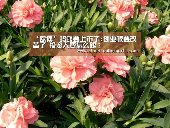 ‘欧博’蚂蚁要上市了:创业板要改革了 投资人要怎么跟?(图3) 欧博官网