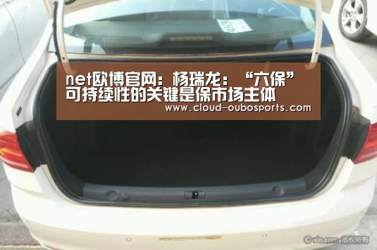 net欧博官网:杨瑞龙:“六保”可持续性的关键是保市场主体(图3) 欧博官网