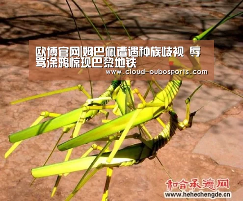 欧博游戏